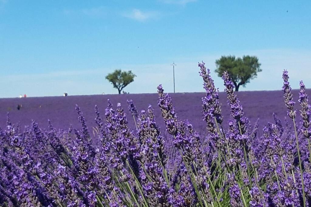 Lou Paradiu Du Verdon Allemagne-en-Provence Dış mekan fotoğraf