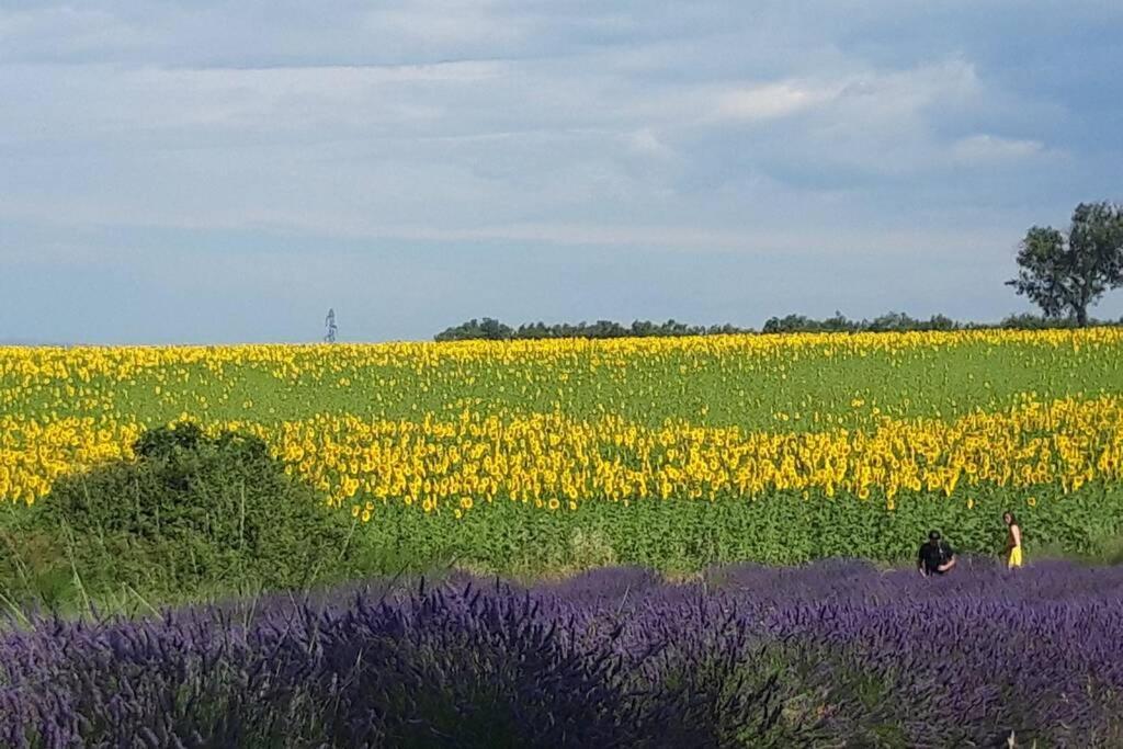 Lou Paradiu Du Verdon Allemagne-en-Provence Dış mekan fotoğraf